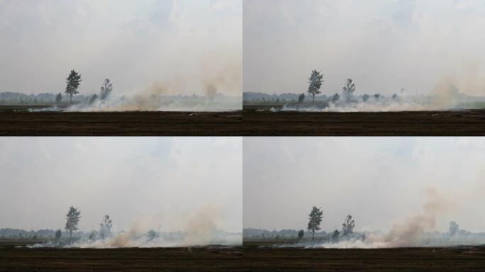 稻田燃烧产生的烟雾造成污染。