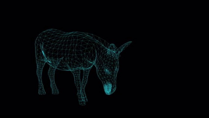 黑色背景上驴的4k线框动画