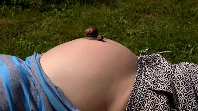 大蜗牛爬在孕妇的肚子上