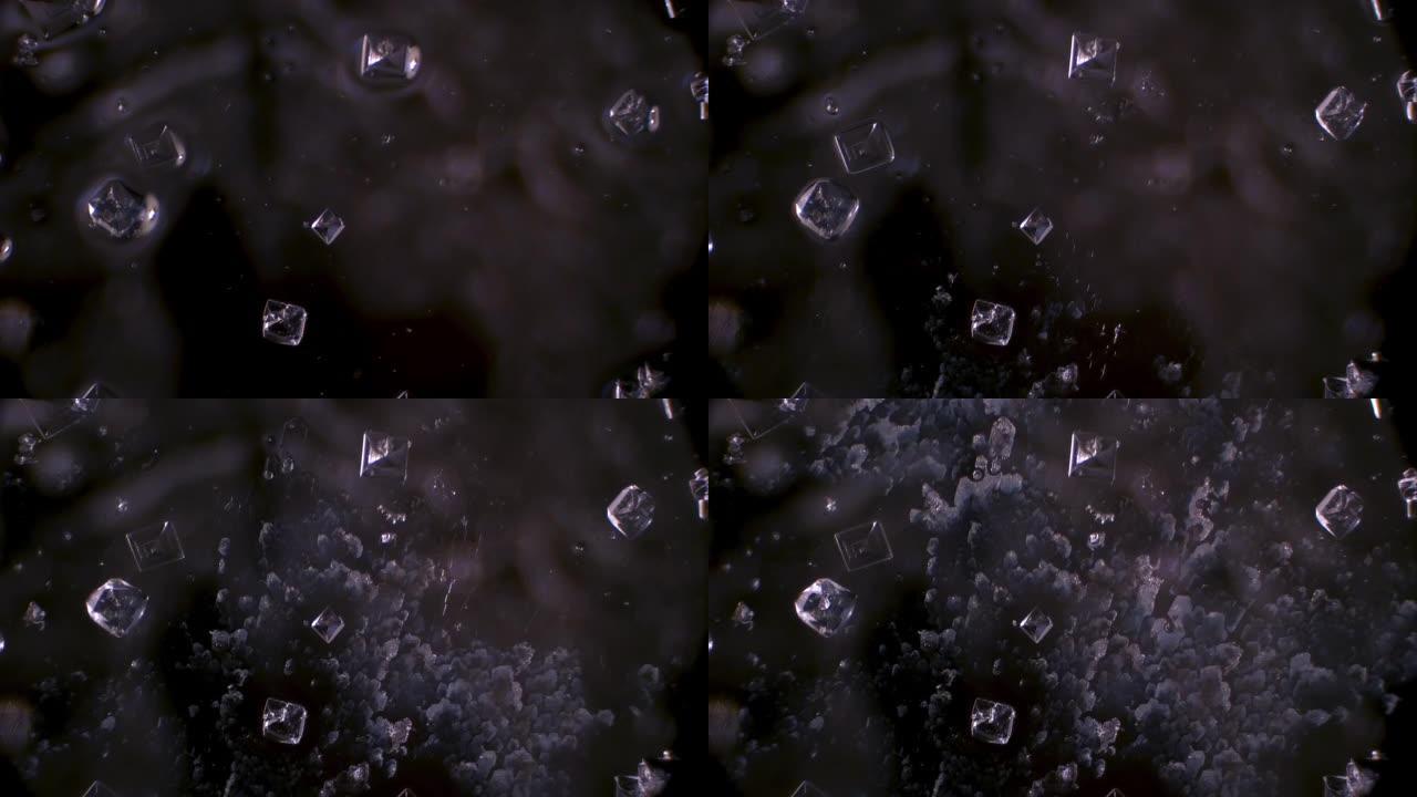 盐晶体生长。显微镜下的视图。海盐水。全球气候变化。世界海洋的海水淡化。玻璃上的圣诞图案。像冰纹一样