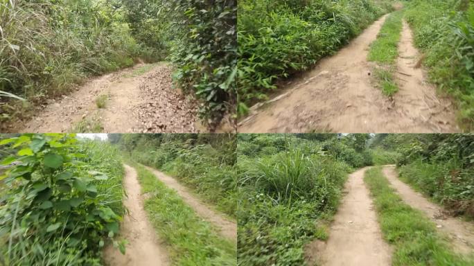 进入山村路绿色野草小道泥泞道路山道小道