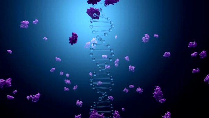 编码蛋白质的DNA