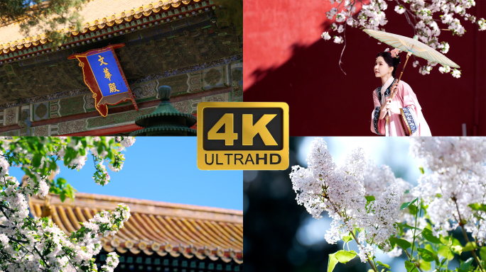 4K升格实拍北京故宫内盛开的海棠花丁香花