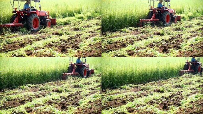 农民使用拖拉机掺入绿肥