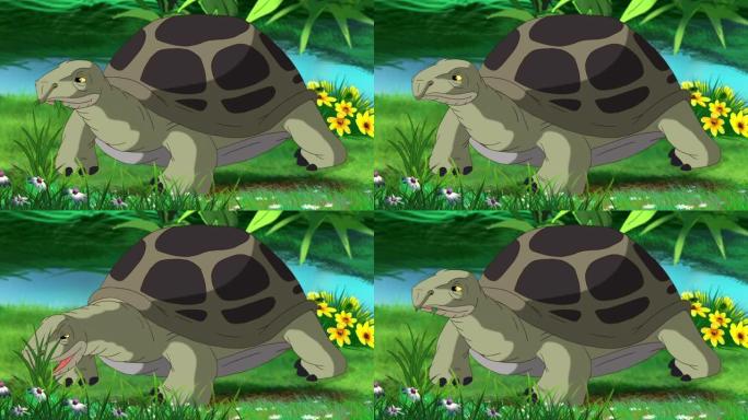 灰象龟吃草