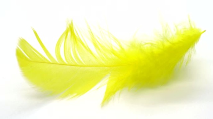 慢动作中的黄色羽毛