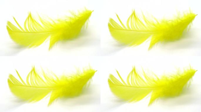 慢动作中的黄色羽毛