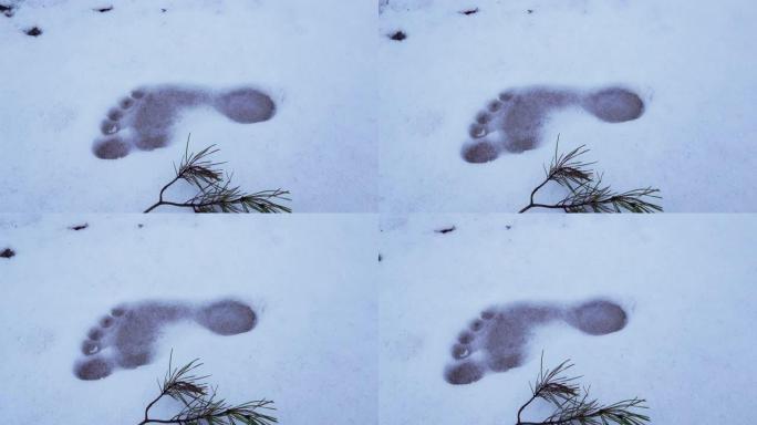 冬季白天在雪地上的赤脚足迹