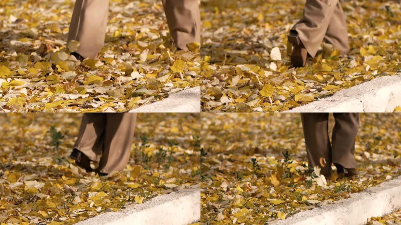 秋叶中行走的女人的腿特写
