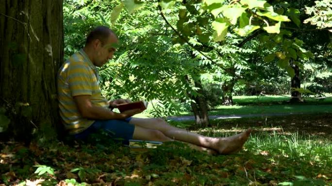 夏天，男人在绿树下的绿色公园看书。4K