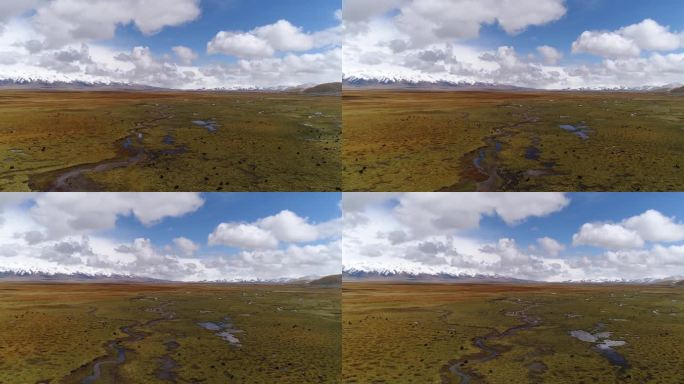 当雄大草原宽广