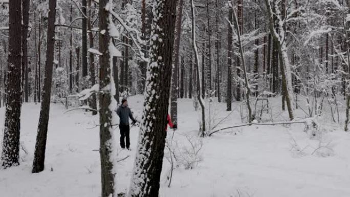 在深新鲜的雪中滑雪旅行-年轻夫妇在雪中的冬季森林中滑雪