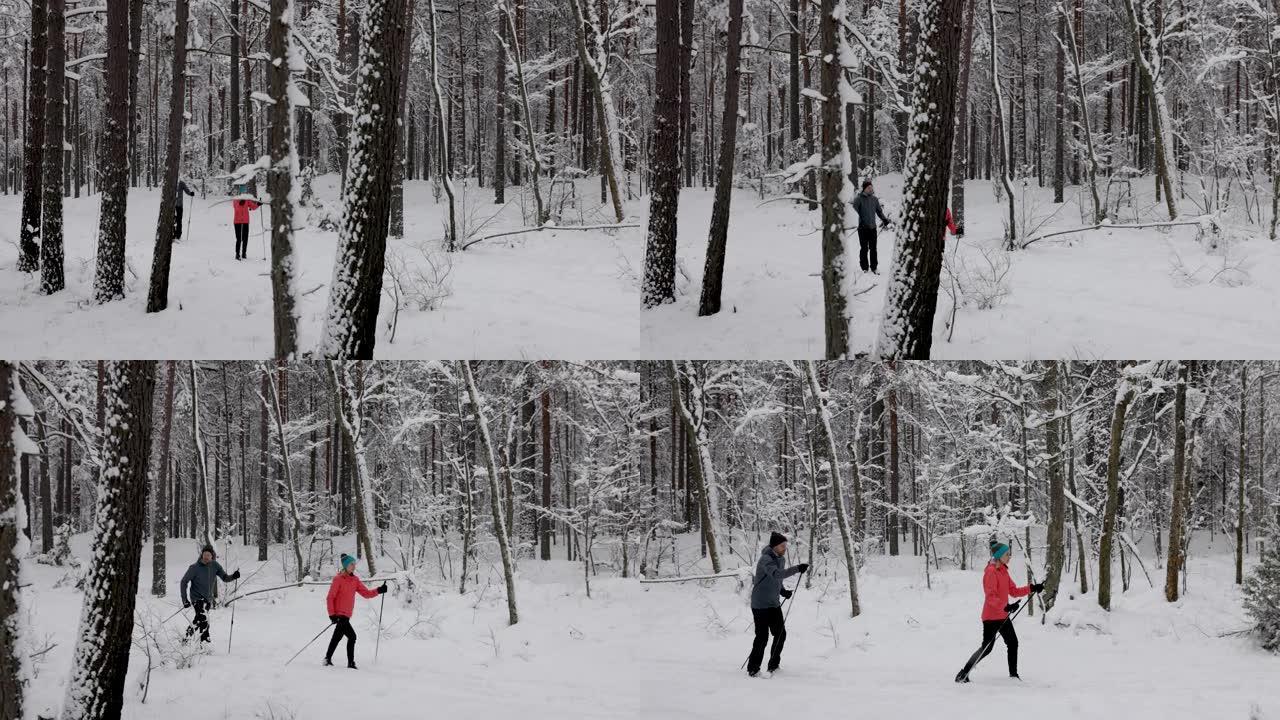 在深新鲜的雪中滑雪旅行-年轻夫妇在雪中的冬季森林中滑雪
