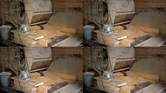 复古自动手工机器在谷仓中筛选谷物。特写