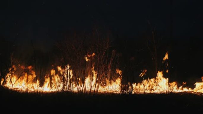 夜间森林大火，关闭燃烧的灌木丛，干草