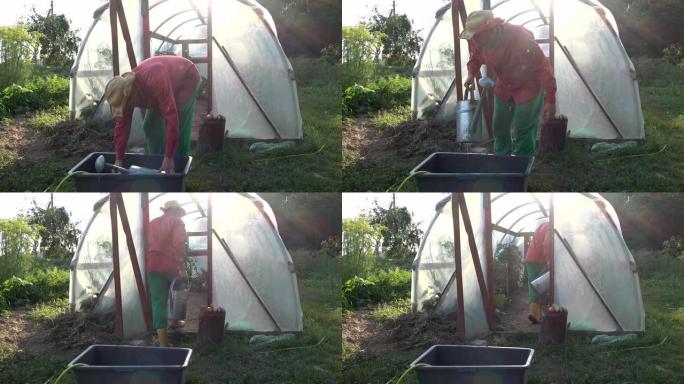 年轻的农民在夏季花园里打水和浇菜。4K