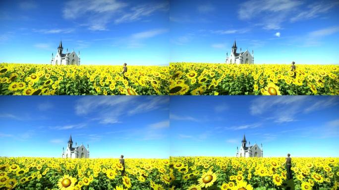 一个男人在向日葵地里的蓝天下，跟踪拍摄了向日葵地里的一个教堂