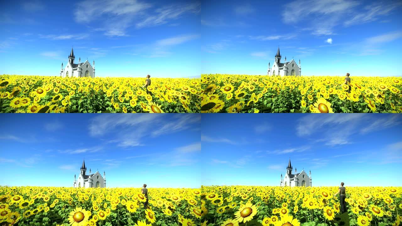 一个男人在向日葵地里的蓝天下，跟踪拍摄了向日葵地里的一个教堂