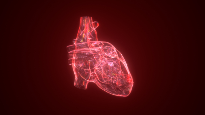 红色科技心脏动画医学演示医疗特效全息投影