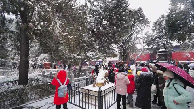 北京故宫雪景紫禁城午门御花园4K