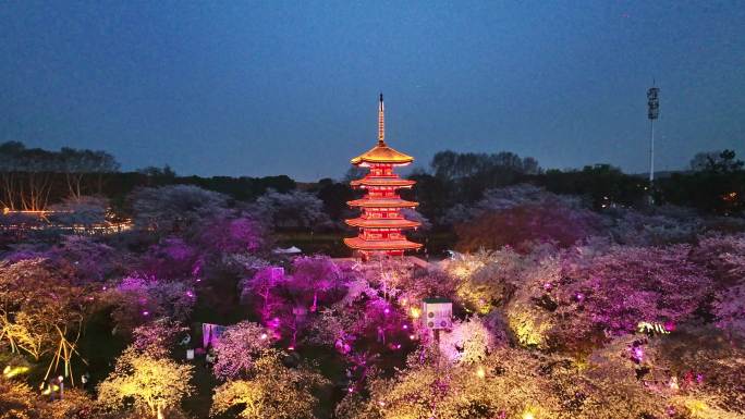 东湖樱园夜景