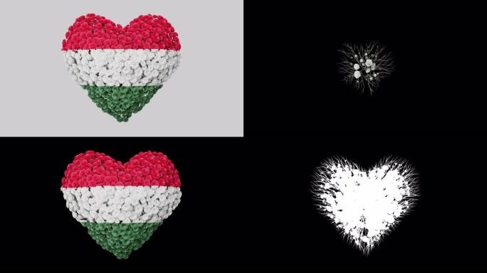 匈牙利国庆日。3月15日。革命和独立日。心动画与阿尔法磨砂。花朵形成心形。