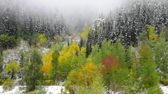 在Artvin的Kackar山和Alaca野生生物山上降下了雪和雨。野生生物的壮观视频。(各种美丽的