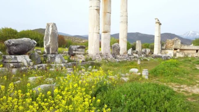 阿耳忒弥斯神庙附近的春药古董城tetrapon