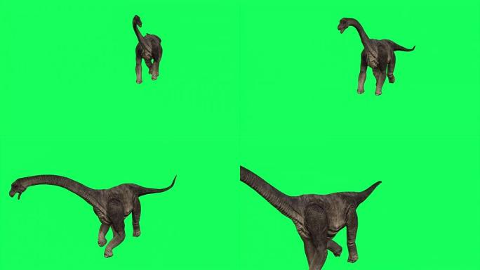 4k动画-在绿屏背景下行走的腕龙。侏罗纪世界恐龙