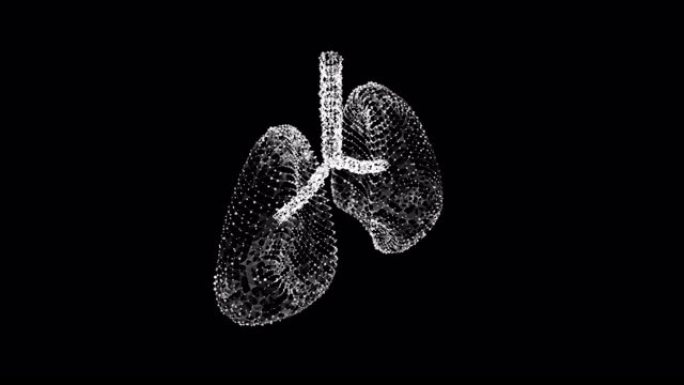 肺有气管支气管内脏的人。肺病学医学科学技术概念。线框低聚网格。