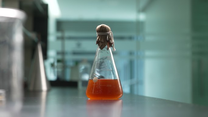 实验室环境玻璃仪器静置成分液体展示