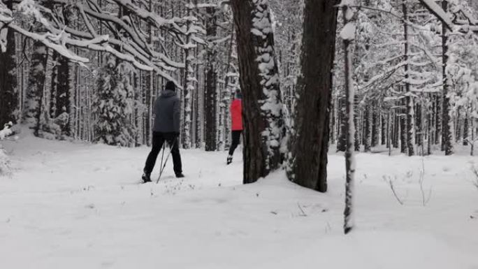 在深新鲜的雪中滑雪旅行-年轻夫妇在雪中的冬季森林中滑雪