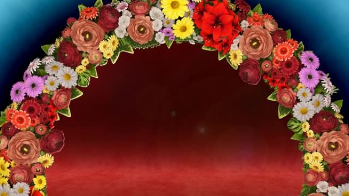 浅蓝色和红色背景上的花朵旋转的动画。循环视频