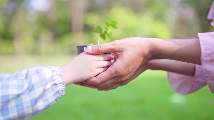 可爱的亚洲小女孩把小植物送给妈妈，拯救地球的概念。