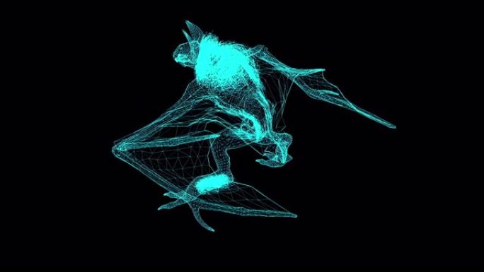黑色背景上运行的神兽动物的3d线框动画