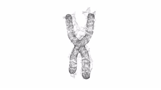 染色体科学医学教育理念。线框低聚网状网络空间网格科学与技术