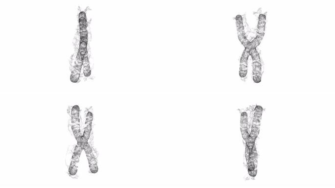 染色体科学医学教育理念。线框低聚网状网络空间网格科学与技术