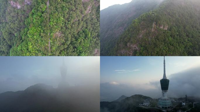 户外登山道