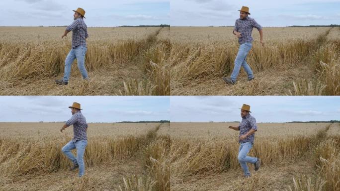 快乐的农民在麦田里跳舞。庆祝有趣的病毒舞蹈自由。兴奋地庆祝成功，成就独自跳舞。人成功快乐。洗牌舞