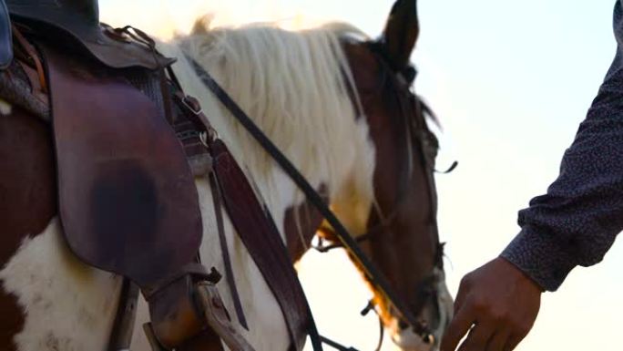牛仔骑马在野外。