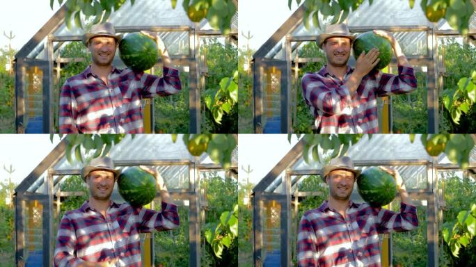 肖像男子农民在温室背景上戴着帽子拿着成熟的西瓜