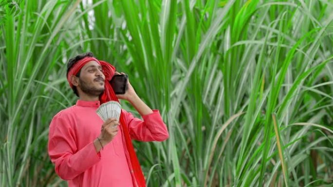 快乐的年轻印度农民在甘蔗田里计数和显示金钱