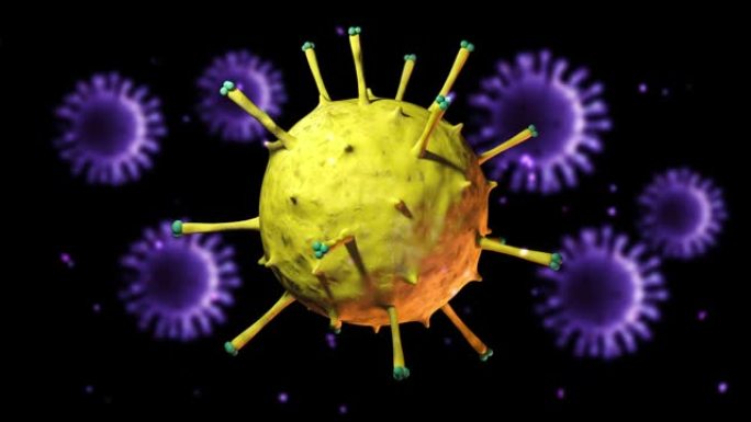 病毒和细菌动画