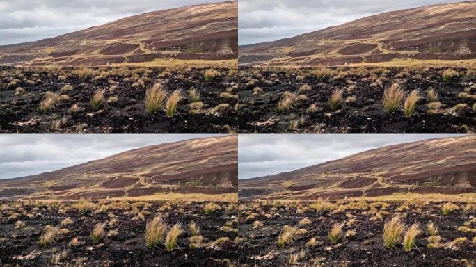 苏格兰高地的稀有自然栖息地覆盖泥炭沼泽泥炭地