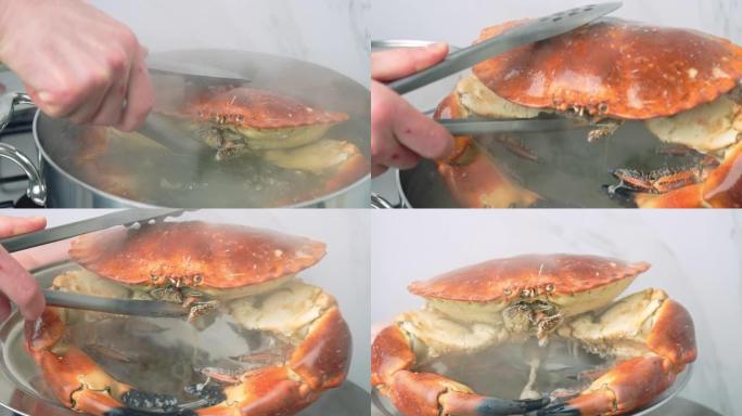 用螃蟹从沸水中取出铅，检查是否在4k中煮熟。
