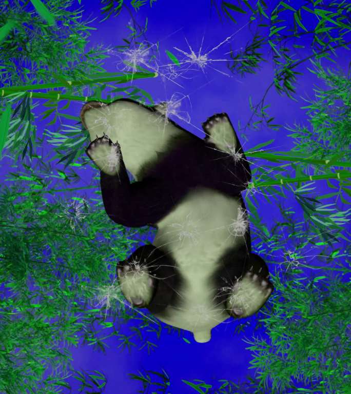 竹林熊猫11