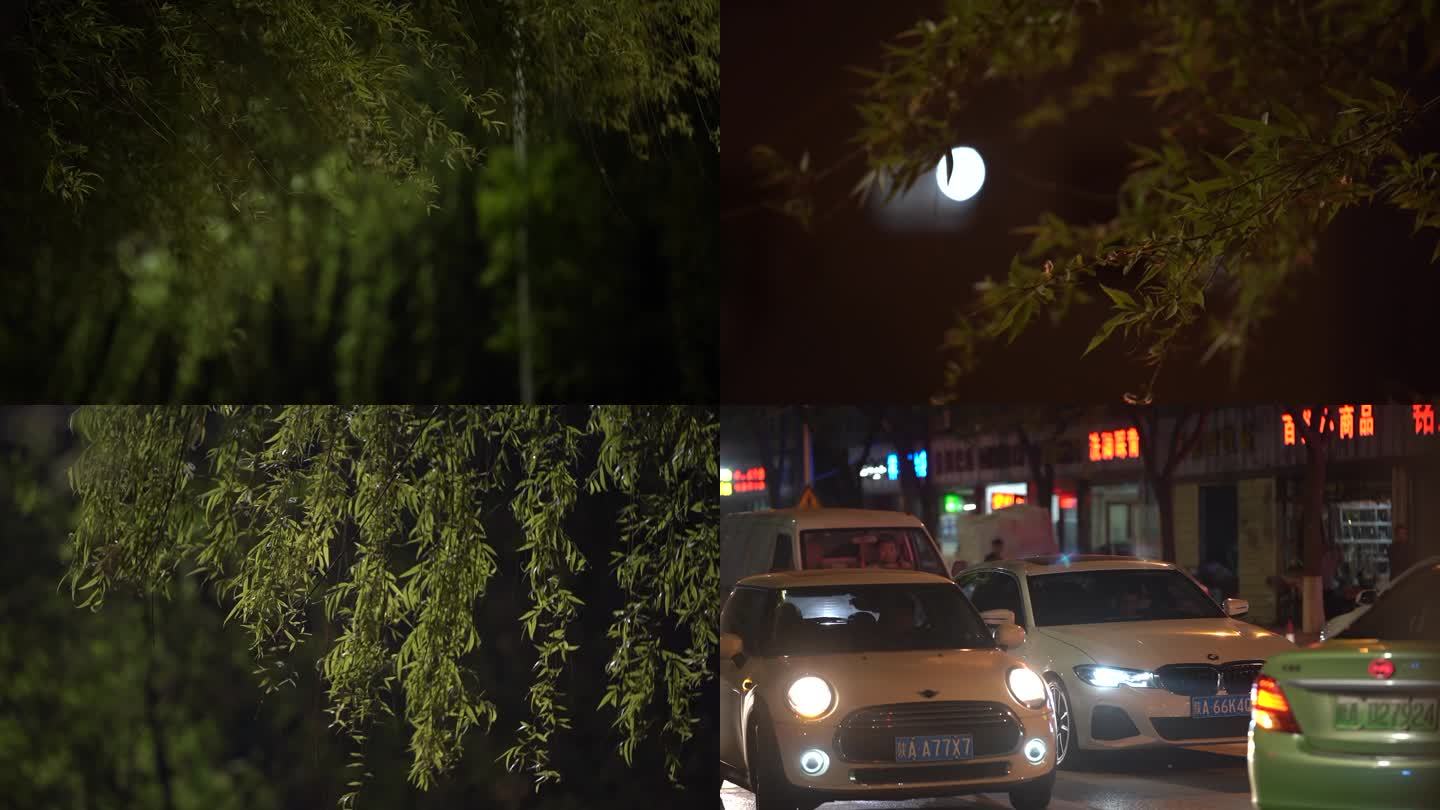 夜间的柳树  绿色 杨柳 春风 柳树飘荡