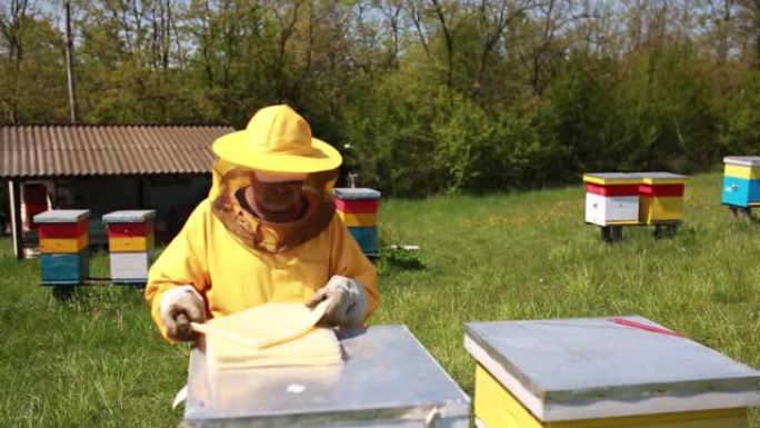 养蜂人正在与蜜蜂和蜂箱一起工作