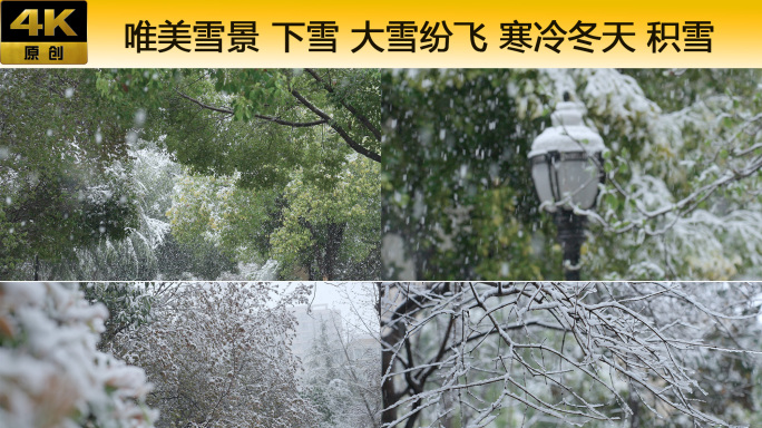 唯美雪景 下雪 大雪纷飞 寒冷冬天 积雪