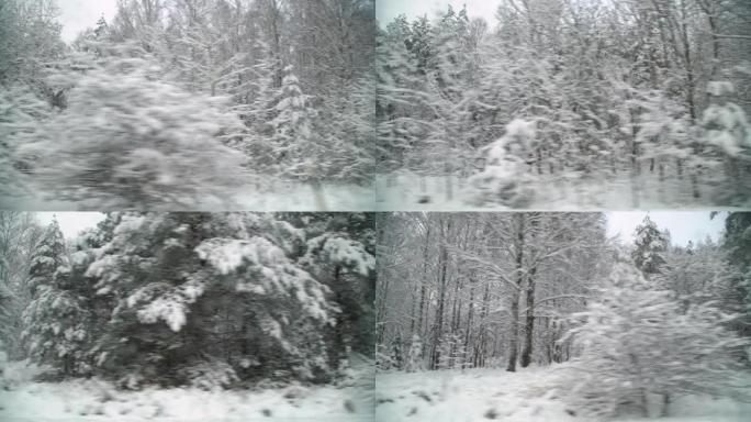 暴风雪过后，在雪树下开车。美丽的冬季风景。
